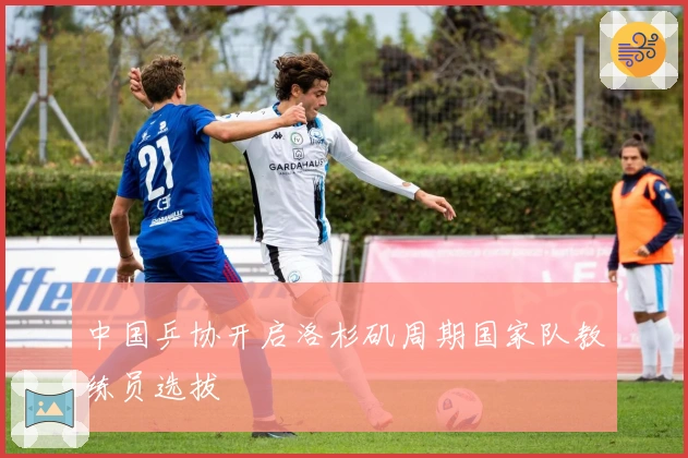 中国乒协开启洛杉矶周期国家队教练员选拔