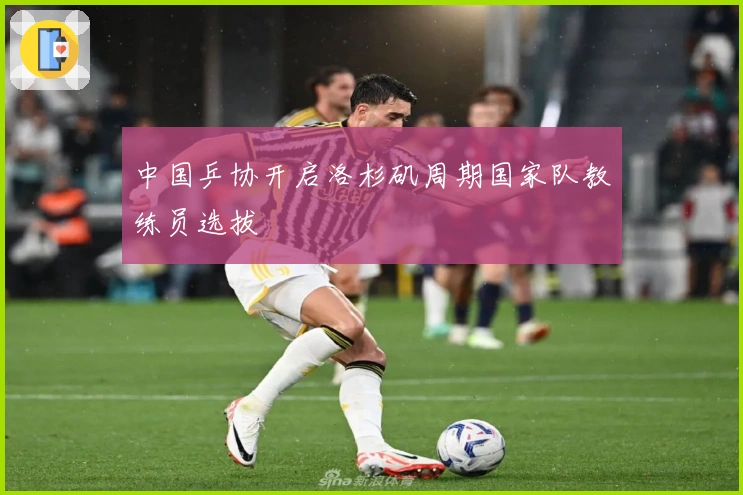 中国乒协开启洛杉矶周期国家队教练员选拔