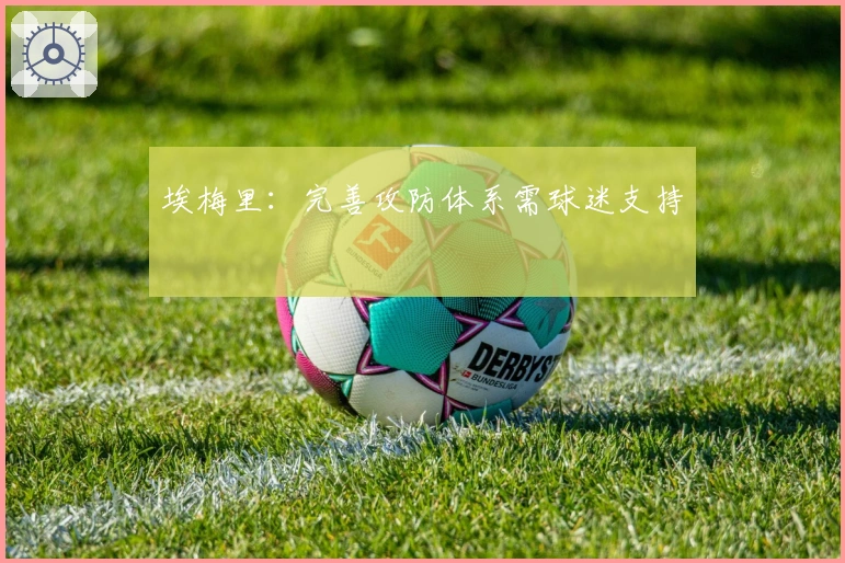 埃梅里：完善攻防体系需球迷支持